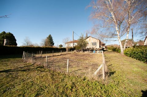 photo no. 16