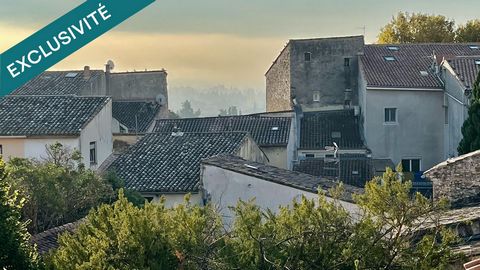 BEL APPARTEMENT DANS UN ENVIRONNEMENT ARBORE EN PLEIN CENTRE HISTORIQUE
