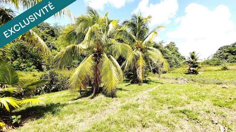 PAISIBLE MAISON F3 SUR 2040m² DE TERRAIN