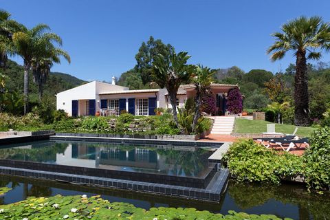 Villa Foz do Banho está situado en las montañas de Monchique. La Villa y la gran finca tienen un oasis de calma y relajación. La villa tiene capacidad para 6 personas, dispone de un amplio salón elegantemente amuebladas con varias zonas de estar y ch...