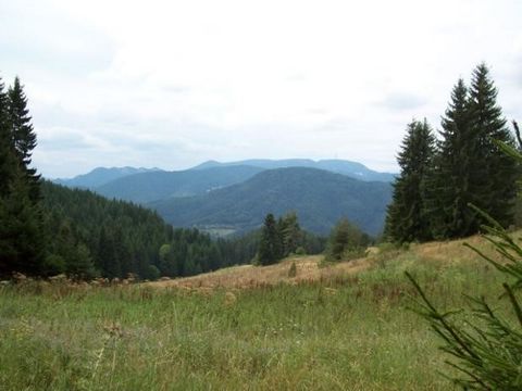 406: WIR BIETEN EINE IMMOBILIE 25400M² ZUM VERKAUF AN. - ZEML. AUSRICHTUNG SÜDWESTLICH UNGLAUBLICHES PANORAMA AUF DEN TURM 