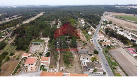 28.400 sq.M Plot in Ferrel - Peniche. Partially inserted in urban area. Feasibility for the construction of 2 single-family houses. In a quiet residential area. Close to shops, services and restaurants. 2,900 Meters from Baleal beach and 2,000 meters...
