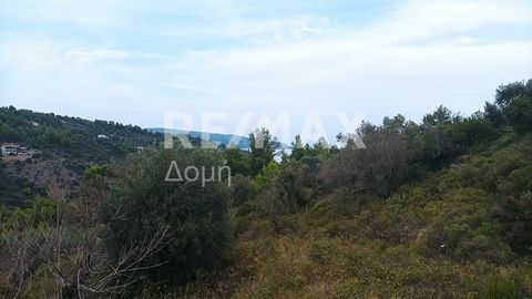 Northern Sporades Real Estate Consultants Kollias Panagiotis - Pappas Vassilios: Exclusive plot of land 5000 sq.m. in the area of ​​Vitzas-Tzortzis Gialos Alonissou. The plot of land is even and buildable and is suitable for the construction of a hou...