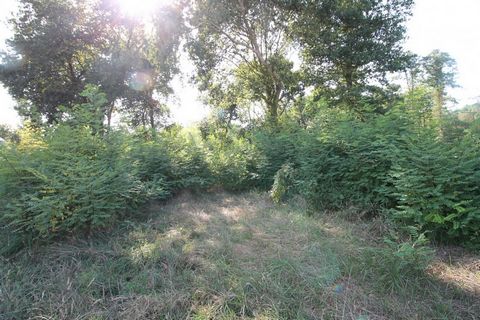 Located in a quiet area with beautiful oaks, unserviced building plot of 4662 m2.