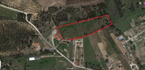 Land with 26240m², 60 Kms from Lisbon, served by road, next to houses. Water and electricity at the entrance. Great for organic farming, it has been resting for several years. Possibility of building a warehouse with +-400m². Excellent conditions for...