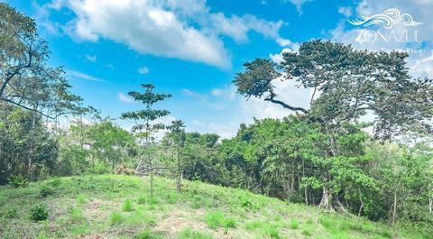 Discover the perfect canvas for your dream home on this prime residential lot located in the desirable Las Delicias neighborhood. Nestled within a welcoming and secure community, this parcel of land offers an ideal setting for those seeking a tranqui...