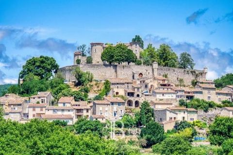 The imposing and magnificent Citadel is located in the village of Mane, near Forcalquier, in the Alpes-de-Haute-Provence. Built in the 12th century at the top of a safre mound, it offers a breathtaking 360-degree view of the village and the surroundi...
