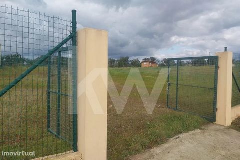 Land with an area of 20 080 m2 fully fenced with pines, olive trees and cork oak, excellent access. It has electricity, a well and a borehole with plenty of water. With the possibility of building agricultural support up to 500 m2 (subject to approva...