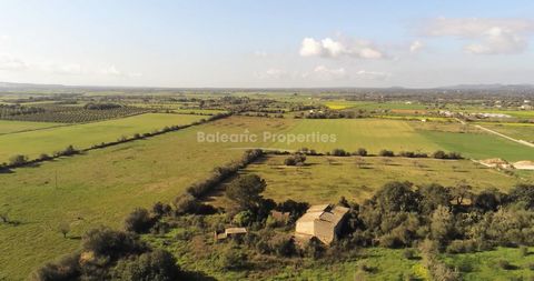 Huge country property with lots of potential between Manacor and Felanitx We are pleased to offer this excellent investment opportunity of a vineyard project with two existing buildings to renovate. It holds a peaceful, picturesque position in the co...