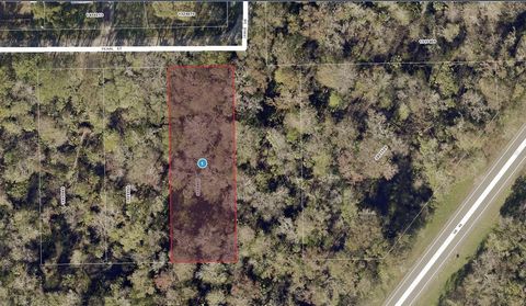 A VACANT LOT IN ASTOR LAKE COUNTY!!! With 2 more adjacent at the same price.