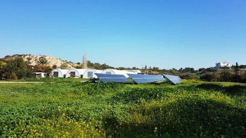 Located in Larnaca. On going agricultural business for sale. The farm produces mushrooms that are sold island wide to numerous companies, whole sellers and large Hypermarkets. The company has been producing mushrooms since 1991 and is known for its s...