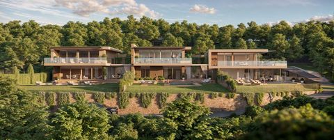 Open your eyes to the charm of Villa Limone, an oasis of peace and luxury located in one of the most renowned areas of Bardolino. This modern architectural gem, currently under construction, promises to be an exclusive retreat for those who want a se...
