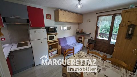 Apartment of 22.56 m² (Carrez law) comprising: kitchen open to living room, bedroom of 4.63 m², bathroom, separate toilet. Large balcony of 6.86 m² facing West and overlooking the green spaces of the condominium. Parking and ski locker. Estimated ann...