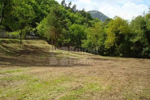 Only 5 minutes from the historic village of Sospel, 30 minutes from Monte Carlo, 15 minutes from the Menton promenade with its beaches, restaurants, shops and the Jean Cocteau museum, this peaceful and verdant property of 25 hectares is located with ...