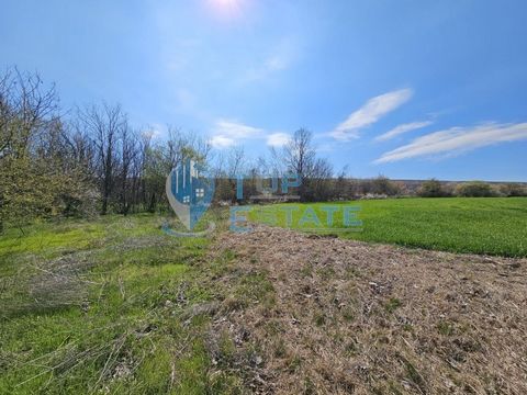 Top Estate Real Estate offers you a large plot of land in regulation in the southern part of the village of Hotnitsa. The plot has an area of 2230 sq.m, close to electricity and water, and access by it is on a hard roads. The property is located in t...