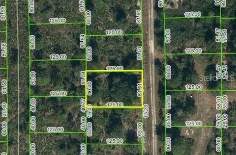 Here is your opportunity to own a lot in the Golf Course community of Sun N Lake! Sun N Lakes offers plenty of golf courses to enjoy, a community pool, tennis courts, and a restaurant. This lot is wooded and needs cleared. Electric is nearby. There i...