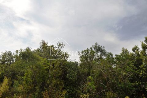 Located in building zone of quiet area, total surface of 3226 sq.m. Near the land plot there is all necessary connections (water, electricity).Asphalt access road. There is a possibility of parcellation. Distance from the beach 300m; town Trogir 3 km...