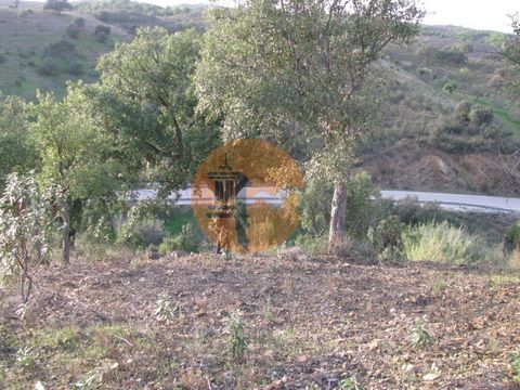 Rustikales Land mit 3520 m2 - Das Hotel liegt in der Nähe des malerischen Dorfes Corte Do Gago in Azinhal in Castro marim - Algarve. Neben der Alcatroada Road. Gute Treffer. Land mit einigen Bäumen. In ruhiger und ruhiger Lage. Freier Blick auf die A...