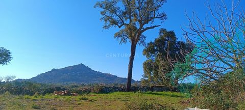 Located in the Cidral area, in Monsanto we have this beautiful rustic land with 3880m2 available for you, It is located next to the national road that connects Penha Garcia. With electricity approximately 400m away and a water spring within the prope...