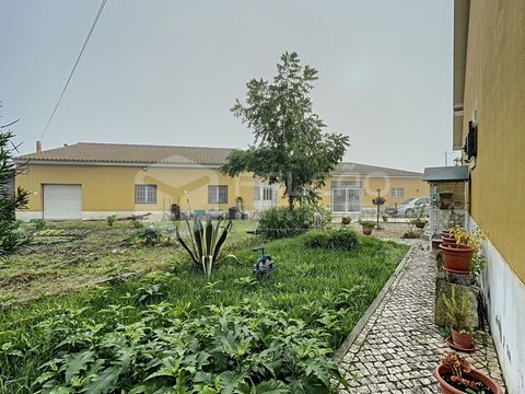 Casa de 3 dormitorios con anexo ubicada en Alcanhões, aproximadamente a 10 km de Santarém y 75 km de Lisboa. La casa de 255m2 consta de: Espacio diáfano (unos 38m2): cocina con ventana, muebles de madera, banco y mesa de piedra de granito, campana ex...