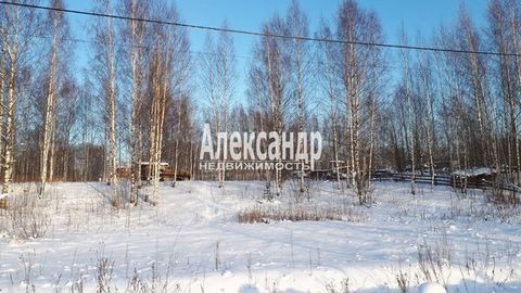 Located in Колтуши.