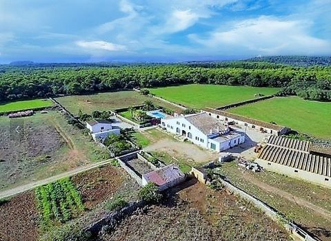 MENORCA IST EIN NAHE PARADIES. Geräumiges Landhaus in der charmanten ländlichen Gegend von Es Mercadal. Mit einem weitläufigen Grundstück von 2.296.511 m² bietet dieses Anwesen insgesamt 1.000 m² Wohnfläche, begleitet von weiteren ca. 1.000 m² Vieh, ...