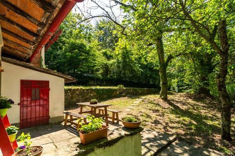 Migliorini un borgo incantato Migliorini è un borgo cinque/seicentesco situato in una piccola conca di boschi di castagno, esposta a sud, ben riparata dai venti e ricca di sorgenti, aperta sulla valle della Lima, a circa 650-700 metri sul livello del...