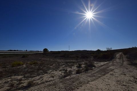 Grande terreno edificabile di 12.000 m2 vicino a San Miguel de Salinas . Terreno edificabile di 12.000 m2 nei pressi di San Miguel de Salinas e del bacino idrico di La Pedrera. Si tratta di un terreno pianeggiante con una edificabilità massima del 2%...