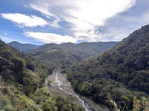 Località: San Isidro-Perez Zeledon, Dota, San Jose, Costa Rica   Possiedi un pezzo di paradiso costaricano - 333 ettari a Santa María de Dota Immersa nelle montagne mozzafiato di Santa María de Dota, San José, Costa Rica, questa straordinaria azienda...