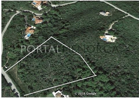 Detached building land plot. Building 200m 2. Area with water and electricity supply.