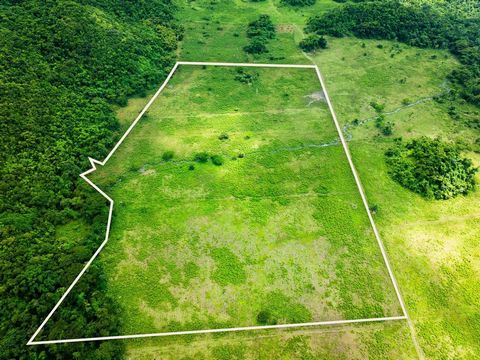 51 Acres of Lush Development Land with Agricultural & Tourism Potential – Carawina, Westmoreland Jamaica This fertile property offers rare potential for eco-tourism and agriculture. A peaceful river runs through, perfect for riverfront cabins, lodges...