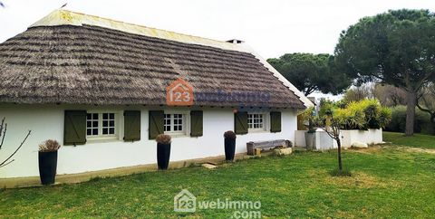 Maison - 75m² - Saintes-Maries-de-la-Mer