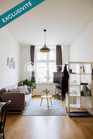 Appartement Lunéville Château