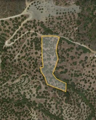 Sfaka-Sitia A plot in Sfaka enjoying sea views and near Mochlos area. It is 5.600m2 with good access from an agricultural road. The plot has olive trees and a building right for 250m2. It is located just 1.3km frοm the sea and enjoys views to sea and...