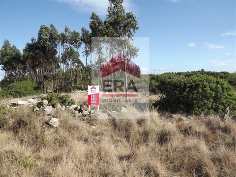 Rustic land with 7,840 m2. Good access to 10 minutes from the Centre of Lourinhã. Energy Rating: Exempt #ref:130170206