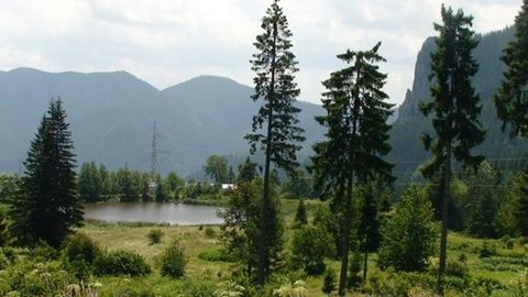 TEL.: ... ; 0301 69999/WIR BIETEN 13 HEKTAR ZUM VERKAUF AN. GRUNDSTÜCK IN DER STADT SMOLYAN, SM. SEEN / AM UFER EINES DER SCHÖNEN SEEN /. ZUR HAUPTSTRASSE SMOLJAN-PAMPOROVO, ZUM PROJEKT 'PERELIK' UND EINEN KILOMETER VON DER LIFTSTATION CM. SEEN - GIP...