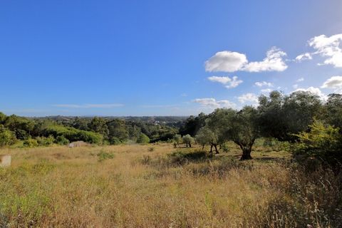 Located in Costa de Prata. Rustic land with construction feasibility; Inserted in a level 3 urbanizable space; With well and water mine; Located about 20 KM from the Bay of S. Martinho do Porto; 5 km from Benedita where there is all trade and service...