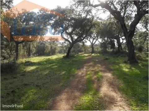 This property is composed of clean land, a cork cork and azinho mount, a large mountain and umacharca. Area: 6000000 m2 More information and/or immediate visit: 967882448 - -------------------- Dear customer, We have other real estate options and rea...