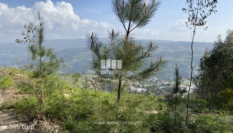 Land for sale with an area of 4600 m2, located in quarry area. It has good access, great sun exposure and great views. Great for stone exploration. Excellent business opportunity! Come visit! São Lourenço do Douro, Marco de Canaveses. Ref.: MC09153 F...