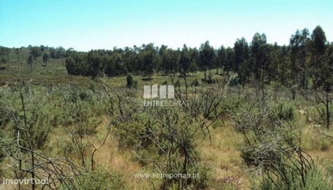 Land for sale, well located with an area of 7 800 m2. Situated in an industrial expansion area, flat, excellent access. Possibility for pavilion construction. Lustosa, Lousada. Ref.: MC05085 FEATURES: Land Area: 7 800 m2 Area: 7,800 m2 Useful Area: 7...