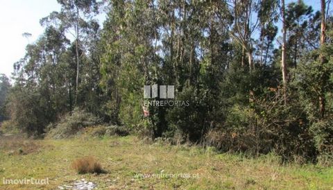 Land with 7000 m2 for sale, with feasibility of construction industry. Great access and great location in Rio Mau, Vila do Conde Business opportunity. Ref.: VC01457 .   FEATURES: Land Area: 7 000 m2 Area: 7 000 m2 Useful Area: 7 000 m2 Energy Efficie...