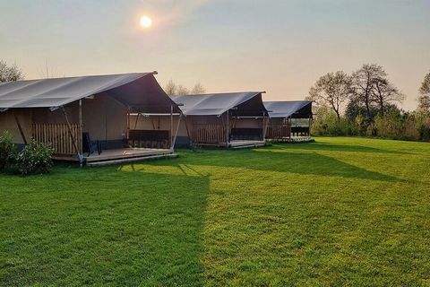 This luxurious glamping tent is located in the middle of a beautiful wetland area in the heart of Friesland. We call it a tent, but actually it is like a house. It is equipped with its own private bathroom with toilet. In addition, the tent is tastef...