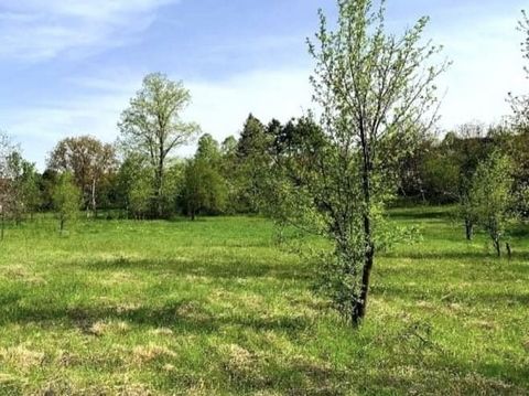 OFFER 18753 - 'ASAVIA - LOVECH PROPERTIES' offers an undeveloped plot of land near the center of the village with a wonderful panorama. Suitable for a house, villa or caravan. wire ... Lyubomir Maleshkov