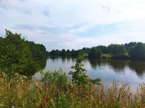 Хороший ровный участок находится в небольшой деревне, в красивом, экологически чистом месте, в 2-х км древний храм. Относится к землям населенных пунктов. В непосредственной близости находится лес и каскад прудов. До участка хороший круглогодичный по...