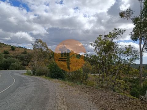 Grundstück mit 156.800 m2 in der Nähe von Azinhal in Castro Marim - Algarve Land mit gutem Zugang durch Asphalt. N122 und IC27 in der Nähe. Land mit Wasserlinie. Land mit vielen Bäumen. Viele Kiefern. Zufahrt über asphaltierte Straße. Auskunftsrecht ...