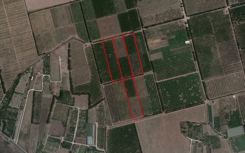 This asset consists of 4 fields (Cluster 3) in the Fasouri area of Akrotiri, Limassol. The asset is located within the British Sovereign Base Area, 1,8km south of the old Limassol - Paphos road, 1,2km west of Kolossi - Akrotiri road and 4,5km north o...