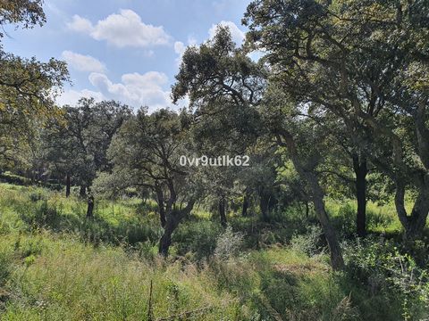 Impressive opportunity to acquire a plot in Altos de Valderrama, Sotogrande. It is a corner plot with a slight southwest orientation. The west edge faces the green area so it is well separated from neighbors. The only neighbor to the south is much lo...