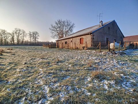 This original farmhouse from 1850 has 100 m2 of living space, with 4 rooms and 2 bedrooms. Nearby is the historic town of Lure (located behind Belfort, about 1 1/2 hours drive from Basel) with about 8,000 inhabitants. The house is very quiet and has ...