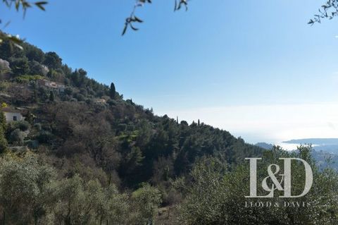 Very nice detached house in Castellar with breathtaking views just 12 minutes from the city centre of Menton. This 227 m² house will seduce you with its many assets: A flat terraced plot of 1,850 m² planted with olive trees, with a swimming pool, fac...