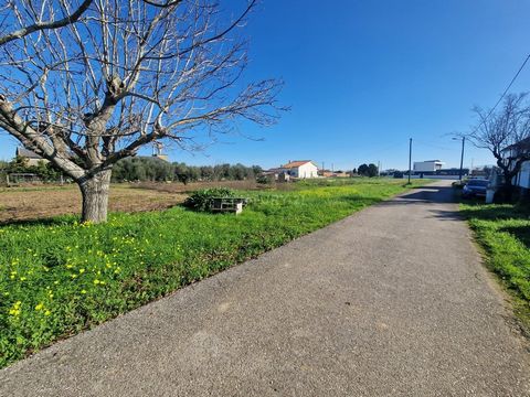Rustic land located in Paredes do Bairro, Anadia, with a total area of 5000m2. The land has a generous frontage of 30 meters and has ideal characteristics for construction. Its flat topography facilitates the development of residential projects. The ...